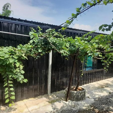 บ้านสวนปวิชญา เกษตรอินทรี Fang Exteriér fotografie