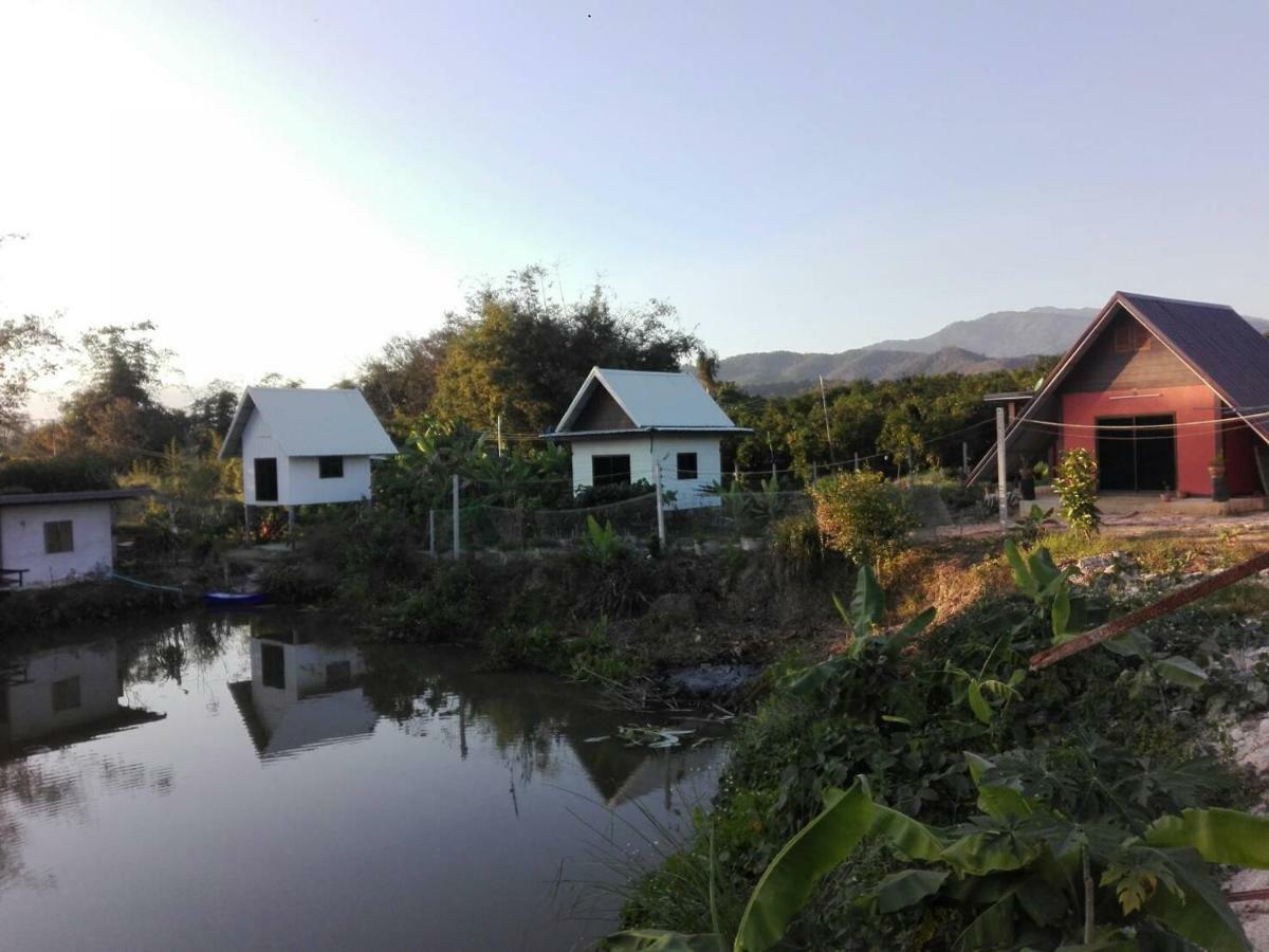 บ้านสวนปวิชญา เกษตรอินทรี Fang Exteriér fotografie